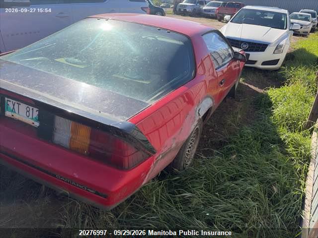 1985 Chevrolet Camaro მანქანა იყიდება აუქციონზე, vin: 1G1FP87SXFL443607, აუქციონის ნომერი: 20276997