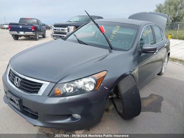 Продаж на аукціоні авто 2008 Honda Accord Ex-l V6, vin: 1HGCP36848A805384, номер лоту: 20277004