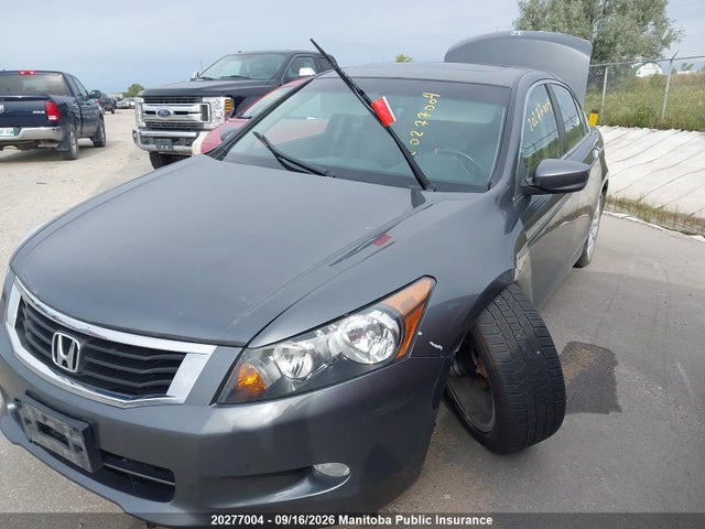 Продаж на аукціоні авто 2008 Honda Accord Ex-l V6, vin: 1HGCP36848A805384, номер лоту: 20277004