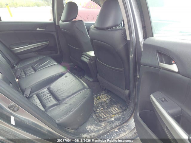 Продаж на аукціоні авто 2008 Honda Accord Ex-l V6, vin: 1HGCP36848A805384, номер лоту: 20277004