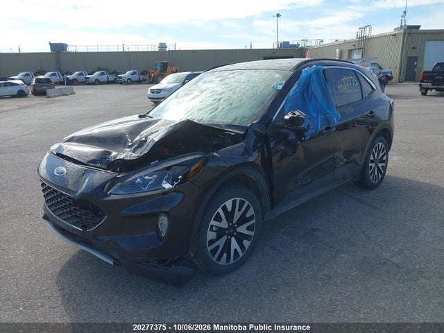 Продаж на аукціоні авто 2020 Ford Escape Sel 2.0t, vin: 1FMCU9H92LUB35000, номер лоту: 20277375