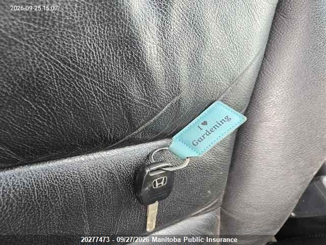 2007 Honda Accord Ex-l მანქანა იყიდება აუქციონზე, vin: 1HGCM56787A813420, აუქციონის ნომერი: 20277473