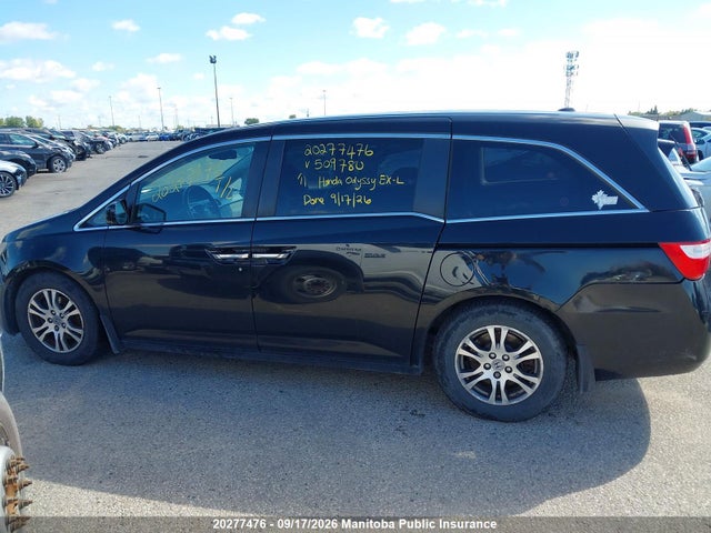 20277476 :رقم المزاد ، 5FNRL5H68BB509780 vin ، 2011 Honda Odyssey Ex-l مزاد بيع