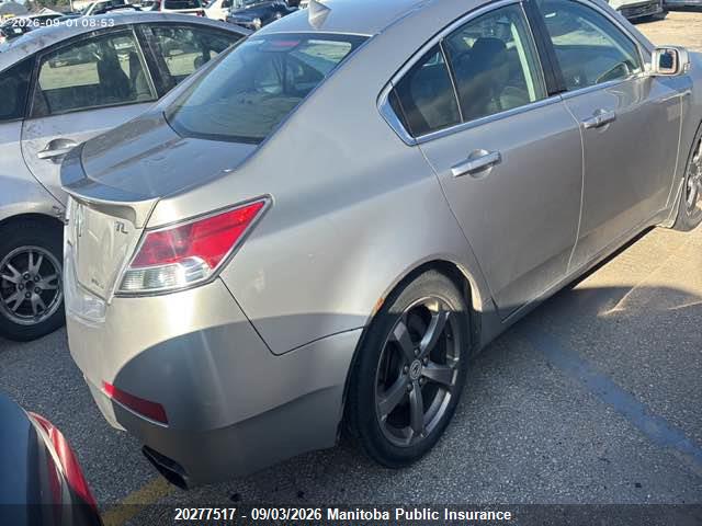 20277517 :رقم المزاد ، 19UUA96559A800291 vin ، 2009 Acura Tl مزاد بيع