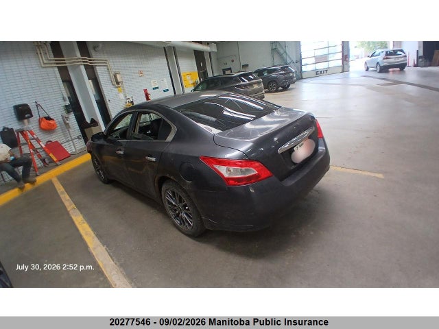 Продаж на аукціоні авто 2010 Nissan Maxima 3.5 Sv, vin: 1N4AA5AP6AC826173, номер лоту: 20277546