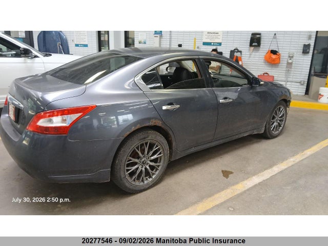 Продаж на аукціоні авто 2010 Nissan Maxima 3.5 Sv, vin: 1N4AA5AP6AC826173, номер лоту: 20277546