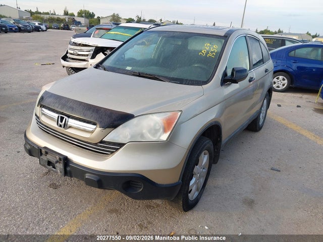 2008 Honda Cr-v Ex მანქანა იყიდება აუქციონზე, vin: 5J6RE48558L802449, აუქციონის ნომერი: 20277550