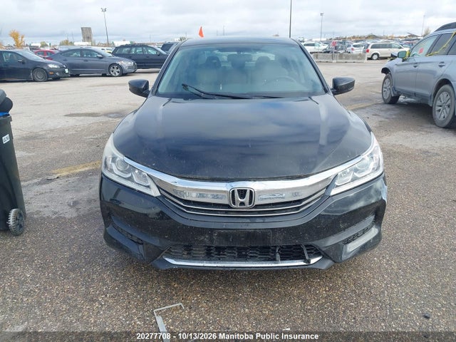 Продажа на аукционе авто 2016 Honda Accord Lx, vin: 1HGCR2F37GA805242, номер лота: 20277708