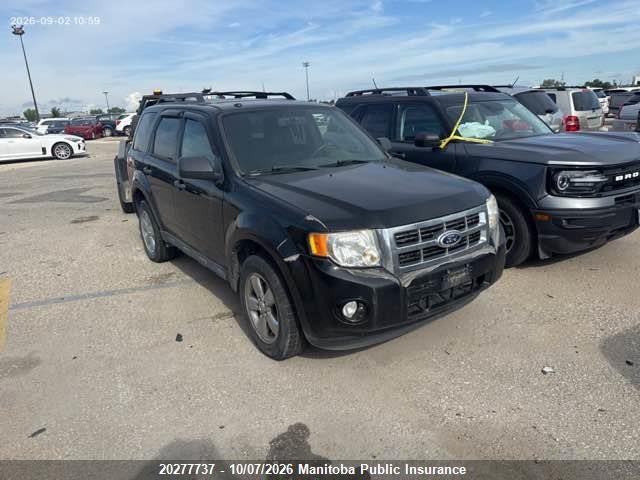 Продаж на аукціоні авто 2010 Ford Escape Xlt V6, vin: 1FMCU9DG0AKB49670, номер лоту: 20277737