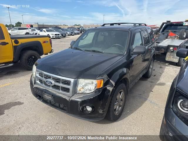 Продаж на аукціоні авто 2010 Ford Escape Xlt V6, vin: 1FMCU9DG0AKB49670, номер лоту: 20277737