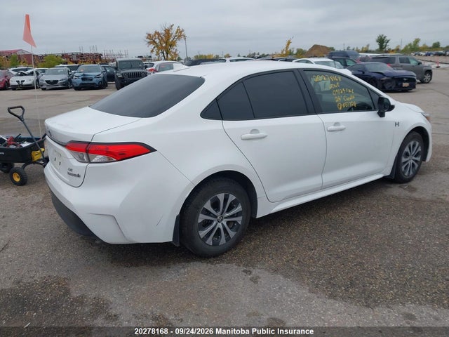 Auction sale of the 2024 Toyota Corolla Le Hybrid, vin: JTDBCMFE3R3051708, lot number: 20278168