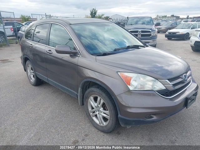 Auction sale of the 2010 Honda Cr-v Ex, vin: 5J6RE4H59AL815937, lot number: 20278427