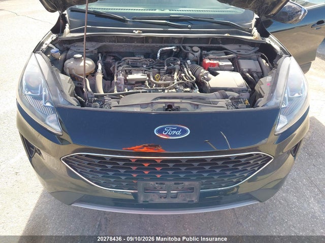 Ford ESCAPE SE 2022 1FMCU9G68NUB35500 Image 10