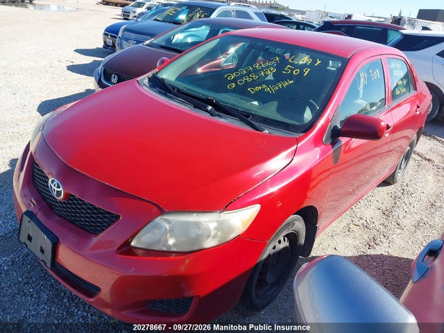 2009 Toyota Corolla Ce მანქანა იყიდება აუქციონზე, vin: 2T1BU40E19C088723, აუქციონის ნომერი: 20278667
