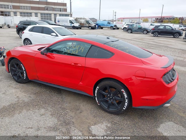 Ford Mustang 2018 1FA6P8TH3J5141368 Image 6