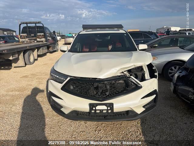 Продаж на аукціоні авто 2019 Acura Rdx, vin: 5J8TC2H69KL807595, номер лоту: 20279388