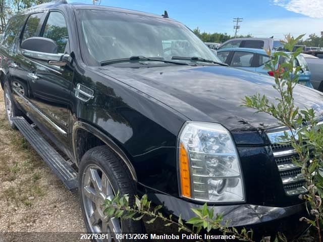 2010 Cadillac Escalade Esv მანქანა იყიდება აუქციონზე, vin: 1GYUKJEF7AR275127, აუქციონის ნომერი: 20279391
