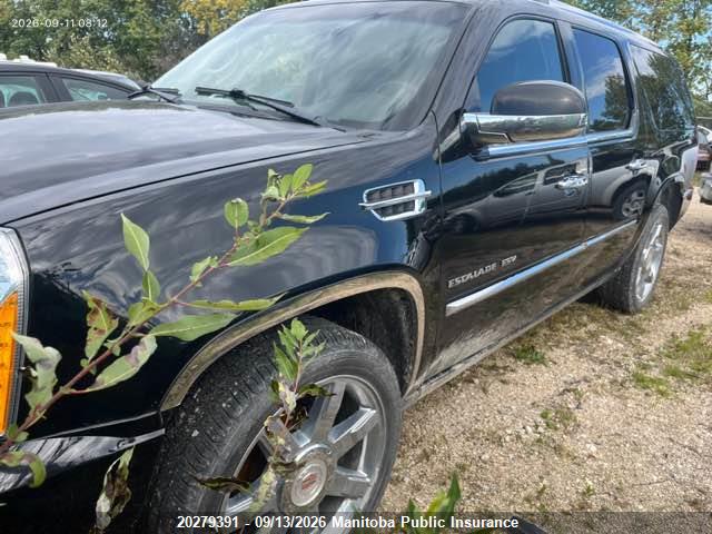 20279391 :رقم المزاد ، 1GYUKJEF7AR275127 vin ، 2010 Cadillac Escalade Esv مزاد بيع