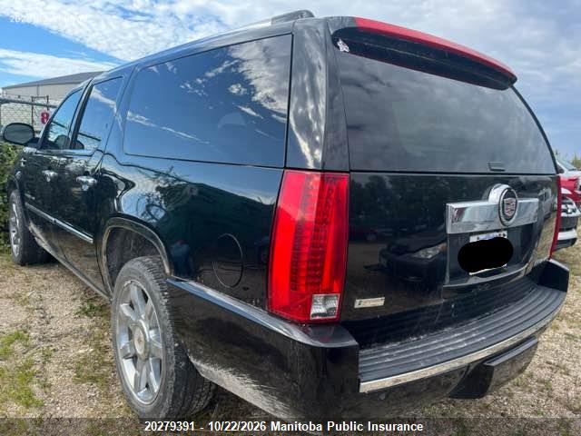 20279391 :رقم المزاد ، 1GYUKJEF7AR275127 vin ، 2010 Cadillac Escalade Esv مزاد بيع