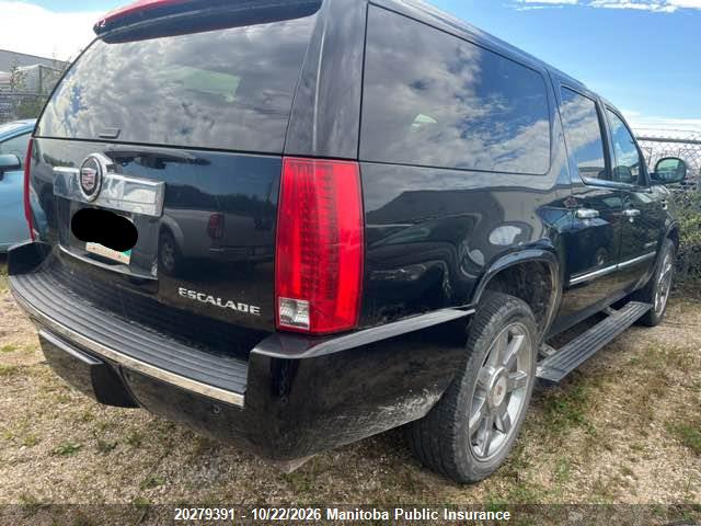 20279391 :رقم المزاد ، 1GYUKJEF7AR275127 vin ، 2010 Cadillac Escalade Esv مزاد بيع