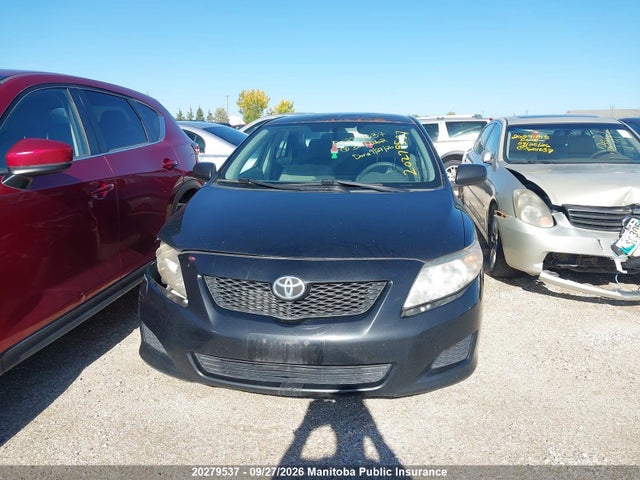 2010 Toyota Corolla Ce მანქანა იყიდება აუქციონზე, vin: 2T1BU4EE7AC324062, აუქციონის ნომერი: 20279537