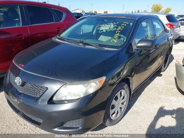 2010 Toyota Corolla Ce მანქანა იყიდება აუქციონზე, vin: 2T1BU4EE7AC324062, აუქციონის ნომერი: 20279537