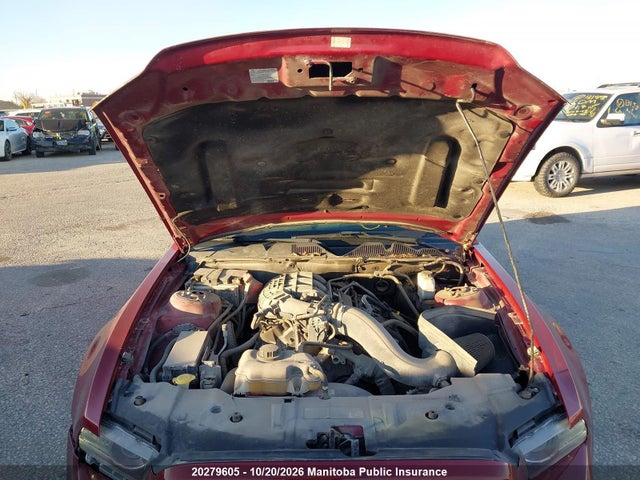 1ZVBP8AM3E5307772 Ford Mustang
