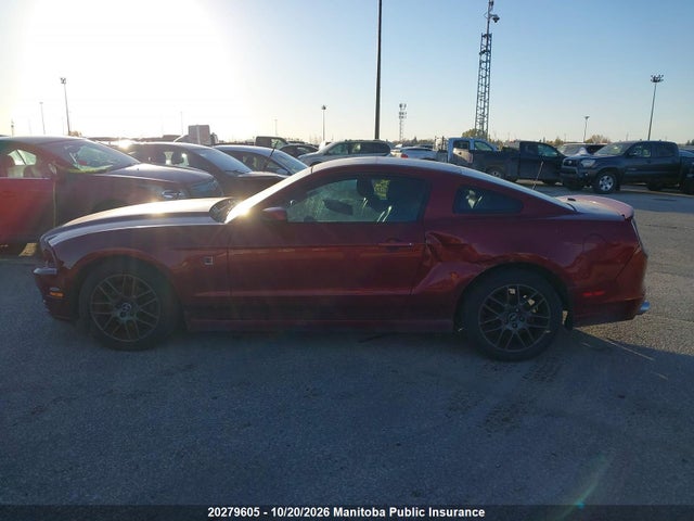 1ZVBP8AM3E5307772 Ford Mustang