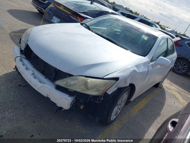 20279723 :رقم المزاد ، JTHBJ46G182225494 vin ، 2008 Lexus Es 350 350 مزاد بيع