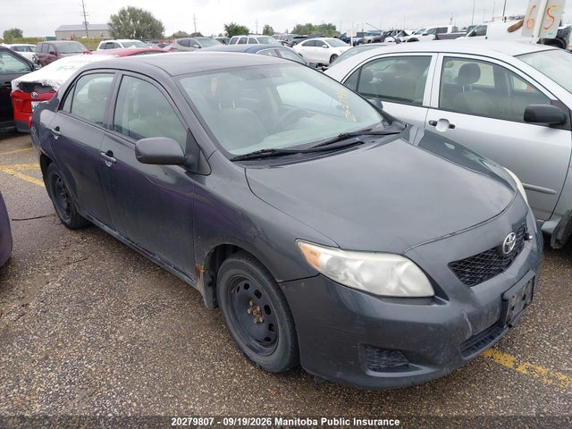 Продажа на аукционе авто 2009 Toyota Corolla Ce, vin: 2T1BU40E09C094240, номер лота: 20279807