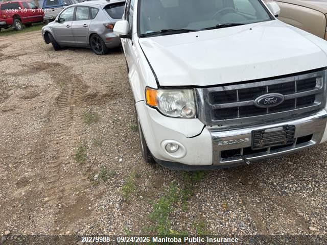 Aukcja sprzedaży 2011 Ford Escape Limited V6, vin: 1FMCU9EG5BKB81014, numer aukcji: 20279988