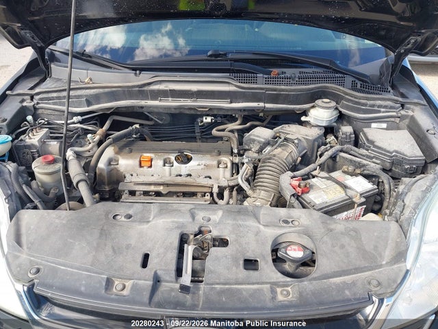 2010 Honda Cr-v Ex მანქანა იყიდება აუქციონზე, vin: 5J6RE3H55AL800328, აუქციონის ნომერი: 20280243