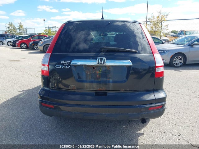 2010 Honda Cr-v Ex მანქანა იყიდება აუქციონზე, vin: 5J6RE3H55AL800328, აუქციონის ნომერი: 20280243