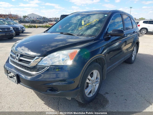 2010 Honda Cr-v Ex მანქანა იყიდება აუქციონზე, vin: 5J6RE3H55AL800328, აუქციონის ნომერი: 20280243