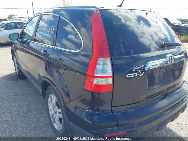 2010 Honda Cr-v Ex მანქანა იყიდება აუქციონზე, vin: 5J6RE3H55AL800328, აუქციონის ნომერი: 20280243