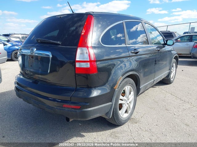 2010 Honda Cr-v Ex მანქანა იყიდება აუქციონზე, vin: 5J6RE3H55AL800328, აუქციონის ნომერი: 20280243