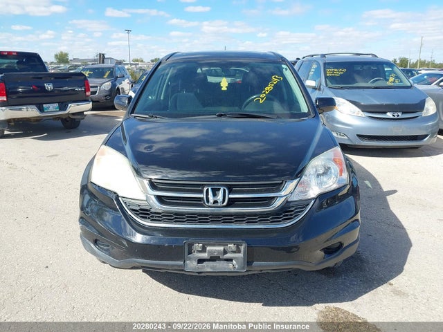 2010 Honda Cr-v Ex მანქანა იყიდება აუქციონზე, vin: 5J6RE3H55AL800328, აუქციონის ნომერი: 20280243