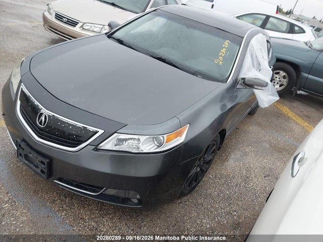 Продаж на аукціоні авто 2009 Acura 3.7 Tl, vin: 19UUA96549A800489, номер лоту: 20280289