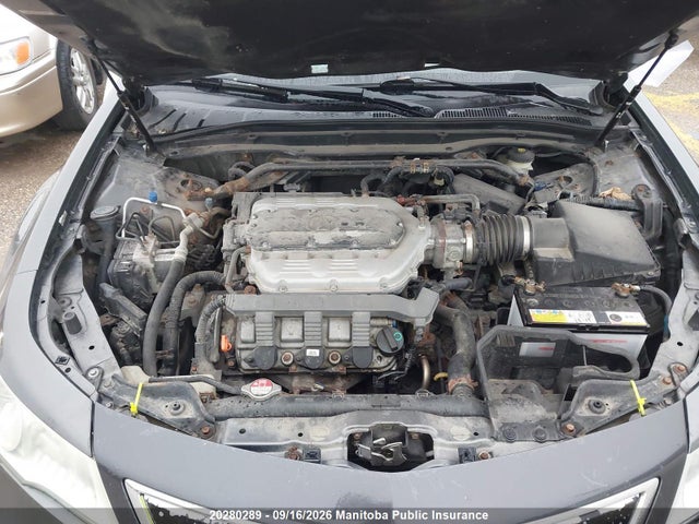 Продаж на аукціоні авто 2009 Acura 3.7 Tl, vin: 19UUA96549A800489, номер лоту: 20280289
