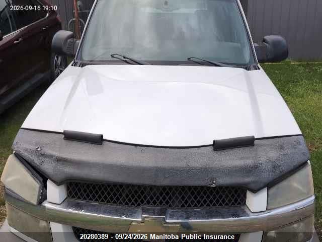 Auction sale of the 2003 Chevrolet Avalanche 1500, vin: 3GNEK13T13G306384, lot number: 20280389