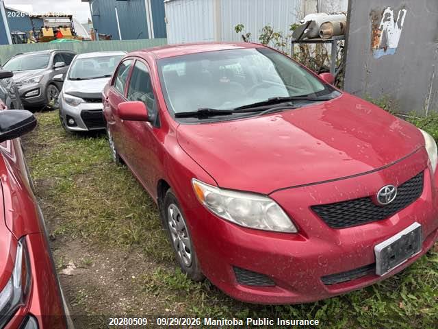 Продажа на аукционе авто 2010 Toyota Corolla, vin: 2T1BU4EE8AC247069, номер лота: 20280509