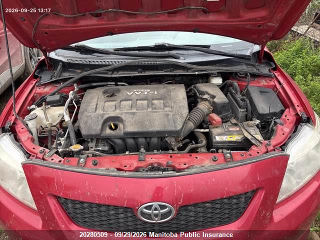 Продажа на аукционе авто 2010 Toyota Corolla, vin: 2T1BU4EE8AC247069, номер лота: 20280509