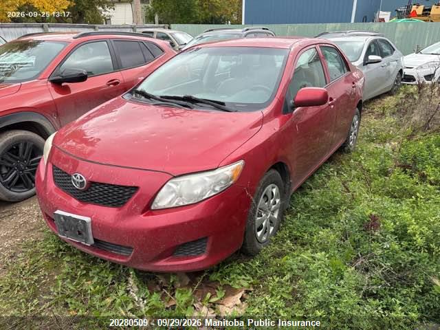 Продажа на аукционе авто 2010 Toyota Corolla, vin: 2T1BU4EE8AC247069, номер лота: 20280509