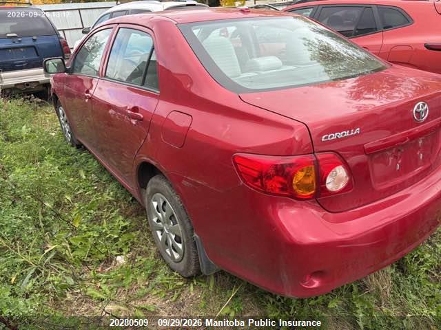 Продажа на аукционе авто 2010 Toyota Corolla, vin: 2T1BU4EE8AC247069, номер лота: 20280509