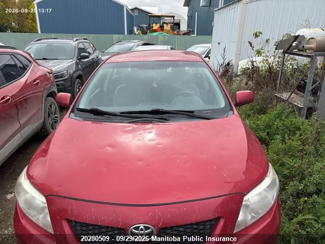 Продажа на аукционе авто 2010 Toyota Corolla, vin: 2T1BU4EE8AC247069, номер лота: 20280509