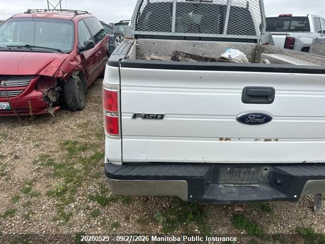 Продаж на аукціоні авто 2014 Ford F150 Xlt Supercrew (amalgamat), vin: 1FTFW1EF8EKF58315, номер лоту: 20280525