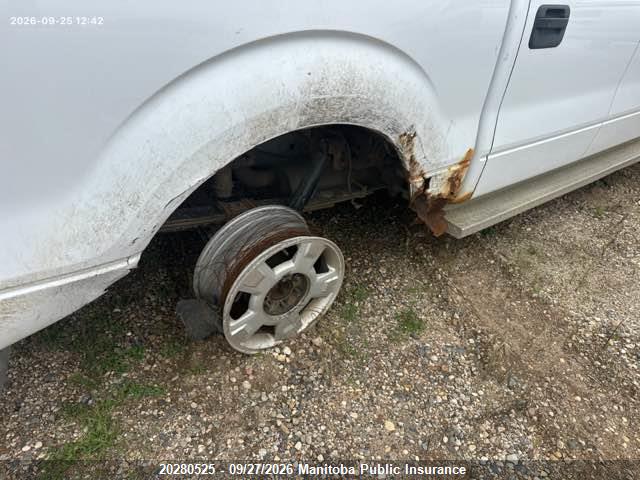 Продаж на аукціоні авто 2014 Ford F150 Xlt Supercrew (amalgamat), vin: 1FTFW1EF8EKF58315, номер лоту: 20280525