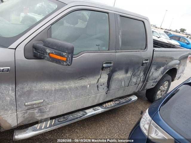 Ford F150 Xlt Supercrew 2014 1FTFW1ET0EKG15001 Image 10