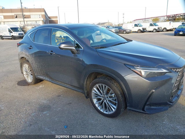 Продажа на аукционе авто 2024 Lexus Nx350, vin: 2T2GGCEZ2RC057284, номер лота: 20280926