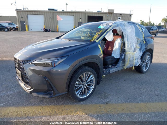 Продаж на аукціоні авто 2024 Lexus Nx350, vin: 2T2GGCEZ2RC057284, номер лоту: 20280926